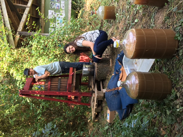 apple pressing.2.JPG